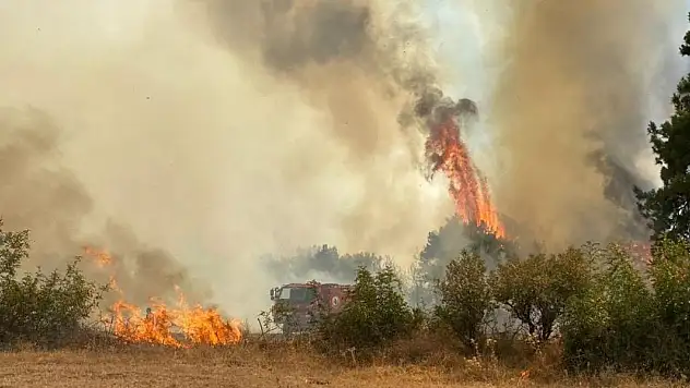 Çanakkale'deki orman yangını kontrol altına alındı