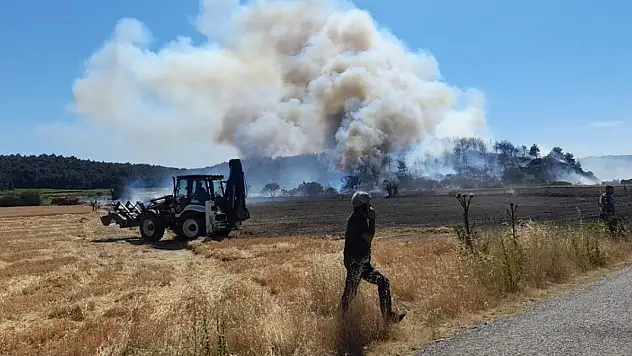 Çanakkale'deki orman yangını nedeniyle bir köy tedbiren boşaltıldı