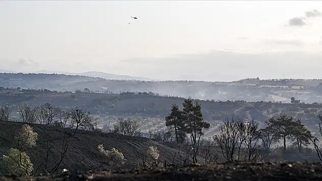 Çanakkale'deki orman yangınları kontrol altına alındı