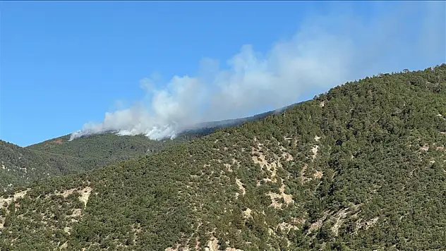 Çankırı'nın Ilgaz ilçesinde ormanlık alanda çıkan yangına müdahale ediliyor