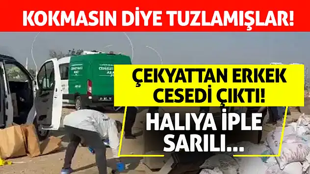 Çekyatın İçinden Bıçaklanmış Erkek Cesedi Çıktı!