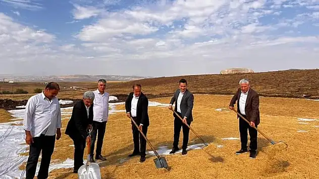 Çermik'te tescilli Karacadağ pirinci hasadı başladı