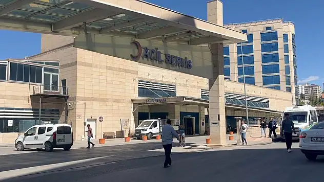 Ceviz toplarken ağaçtan düşüp öldü