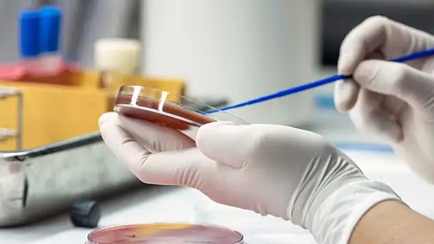 Ciddiyeti bilinmeyen hastalık: Sepsis
