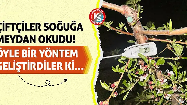 Çiftçiler Soğuğa Meydan Okudu! Öyle Bir Yöntem Geliştirdiler Ki…