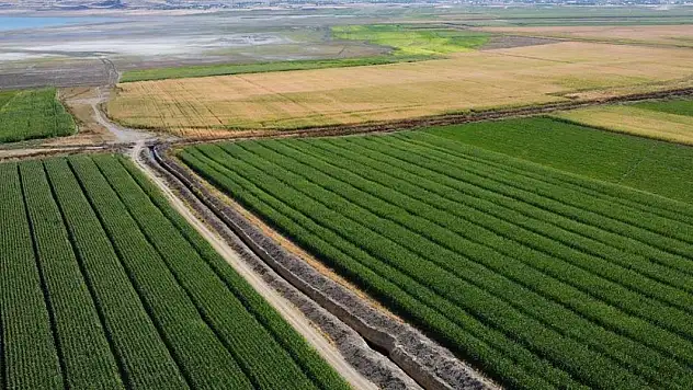 Çiftçilere 3,3 milyar lira destek ödemesi bugün yapılacak
