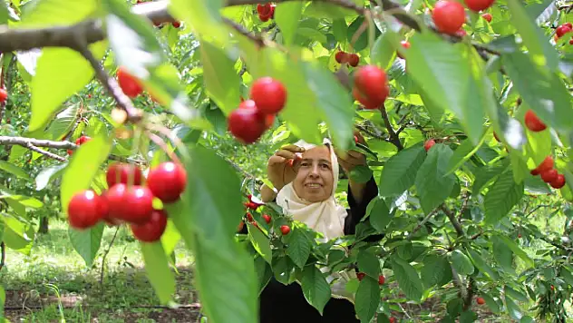 Çiftçilere gübre ve mazot desteği müjdesi! Bakan Yumaklı duyurdu!