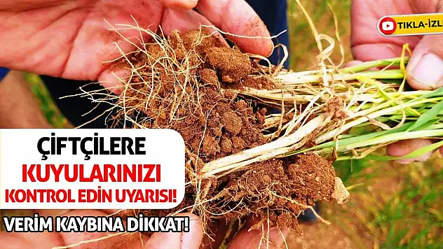Çiftçilere kuyularınızı kontrol edin uyarısı! Verim kaybına dikkat!