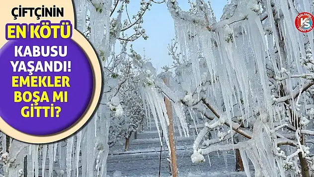 Çiftçinin En Kötü Kâbusu Yaşandı! Emekler boşa mı gitti?