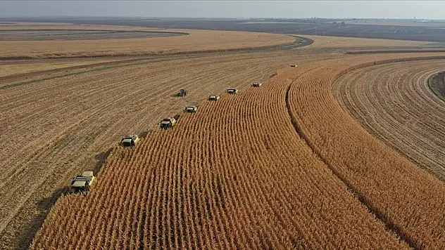 Çiftçinin Geliri Artık Garantide! Tarımda Yeni Dönem Başlıyor