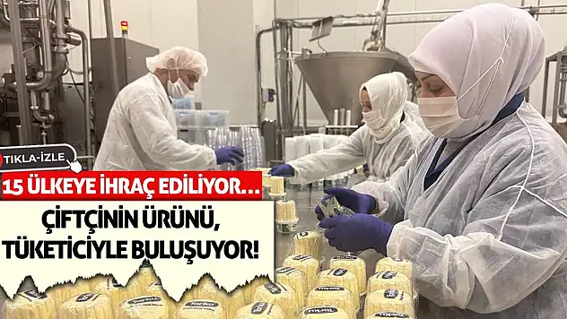 Çiftçinin Ürünü, Tüketiciyle Buluşuyor! 15 ülkeye ihraç ediliyor…
