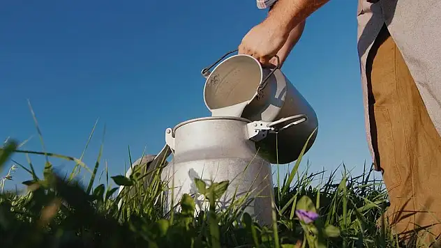 Çiğ süt 17,15 lira oldu