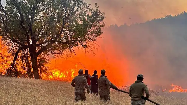 Çıkan 61 orman yangınıyla ilgili 4 şüpheli tutuklandı