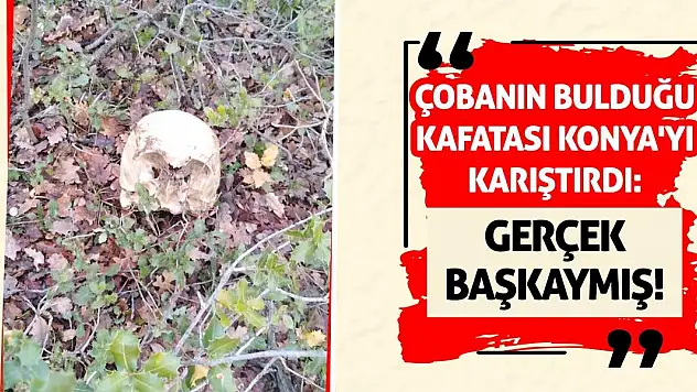 Çobanın Bulduğu Kafatası Konya'yı Karıştırdı: Gerçek Başkaymış!