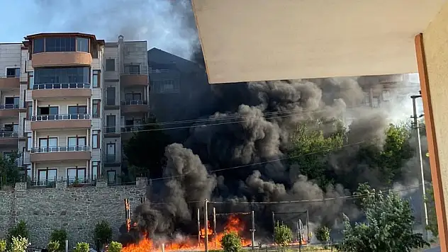 Çocuk parkı alev topuna döndü