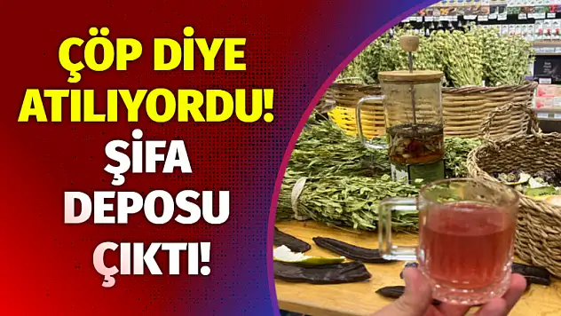 Çöp Diye Atılıyordu! Şifa Deposu Çıktı!
