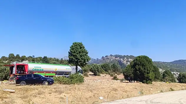 Çöplükte başlayan yangın ormana sıçradı