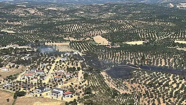 Çöplükte çıkan yangın zeytinlik alana sıçradı
