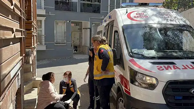 Çorlu'da köpek saldırısına uğrayan kadın yaralandı