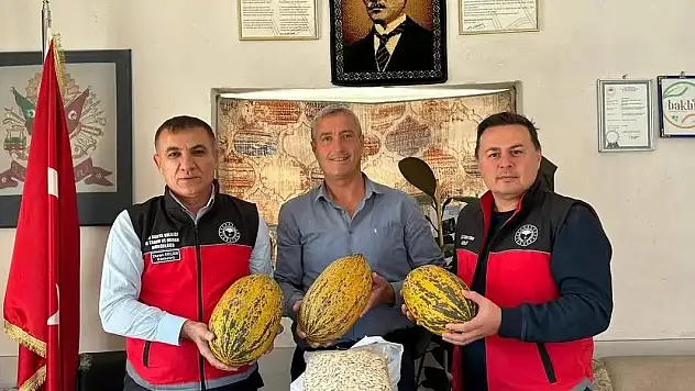 Çumra Kavunu Üretimde Mercek Altında
