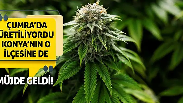 Çumra'da Üretiliyordu Konya'nın O İlçesine De Müjde Geldi!