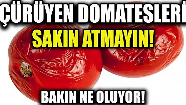 Çürük domatesleri böyle kullanın! Beyaz saçların siyahlaşmasını sağlayan tüyo
