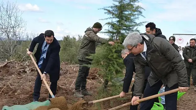 Denetimli serbestlik yükümlüleri fidan dikti