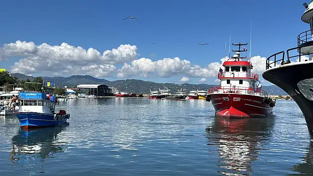Denize açılan balıkçılar bol miktarda hamsiyle geldi