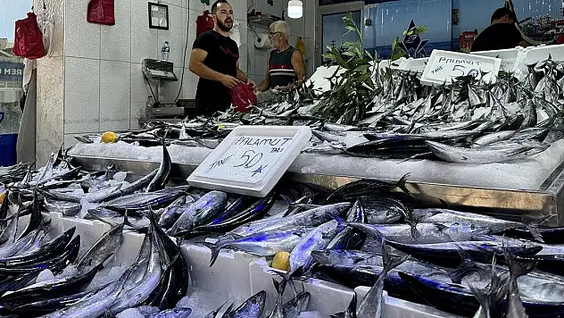Denizlerde palamut bereketi tezgahlara yansıdı