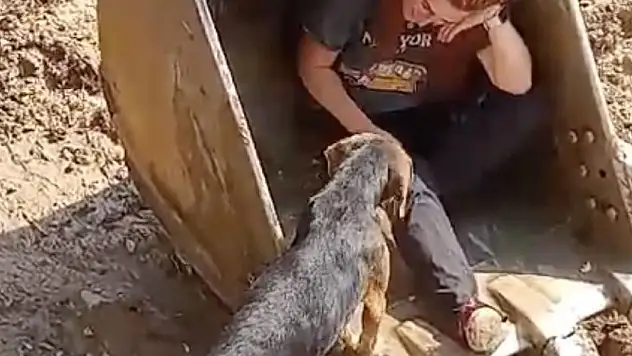 Dereye düşen köpek iş makinesinin kepçesi ile kurtarıldı