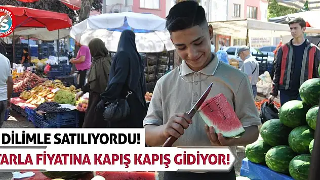 Dilimle Satılıyordu! Tarla Fiyatına Kapış Kapış Gidiyor!