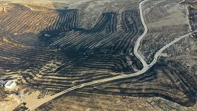 Diyarbakır ve Mardin arasında anız yangını: 5 ölü