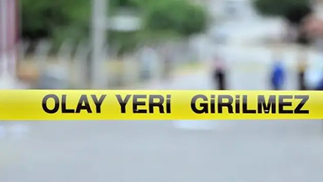 Diyarbakır'da bir kişi silahla 2 kardeşini öldürdü, babasını yaraladı