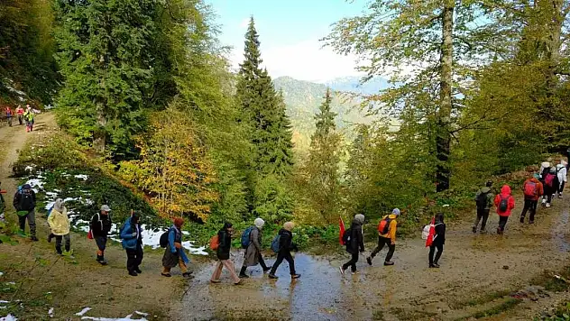 Doğa harikası Örümcek Ormanları'nda Cumhuriyet yürüyüşü