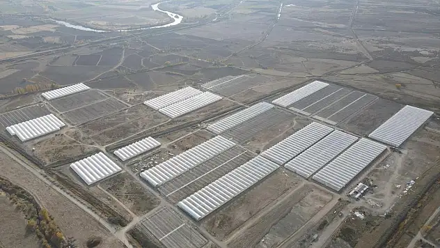 Doğu Anadolu'nun en büyük toplu sera alanı kuruluyor