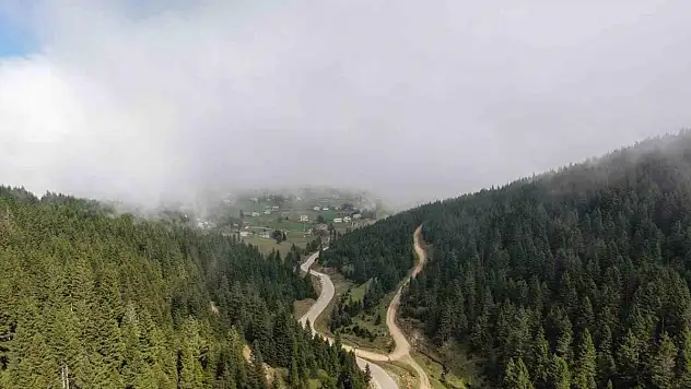 Doğu Karadeniz Bölgesinde heyelan alarmı