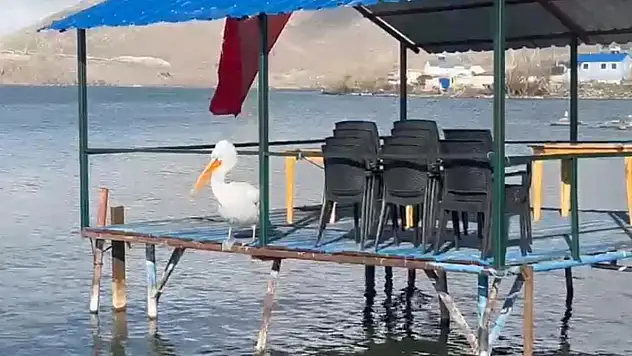 Doğu'da Artık Kış Yok