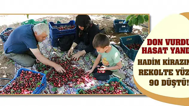 Don vurdu hasat yandı! Hadim kirazında rekolte yüzde 90 düştü!