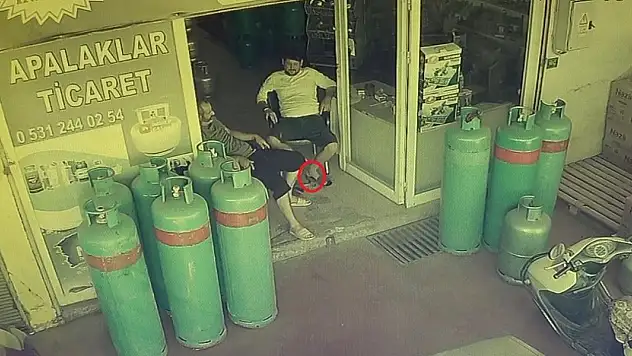 Dükkana giren yılan, esnafı sokağa fırlattı