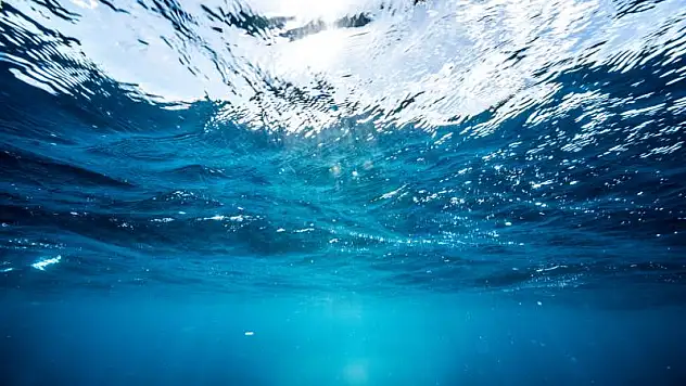 Dünya deniz tabanının sadece binde biri görüntülendi
