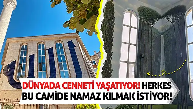 Dünyada cenneti yaşatıyor! Herkes bu camide namaz kılmak istiyor!