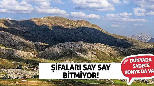 Dünyada Sadece Konya'da Var! Şifaları Say Say Bitmiyor!
