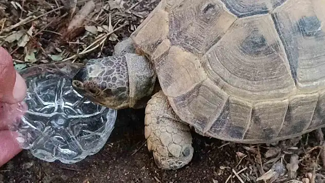 Duyarlı vatandaştan yüreklere dokunan hareket!