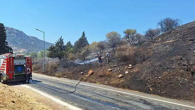 Efes Antik Kenti yakınında korkutan yangın!