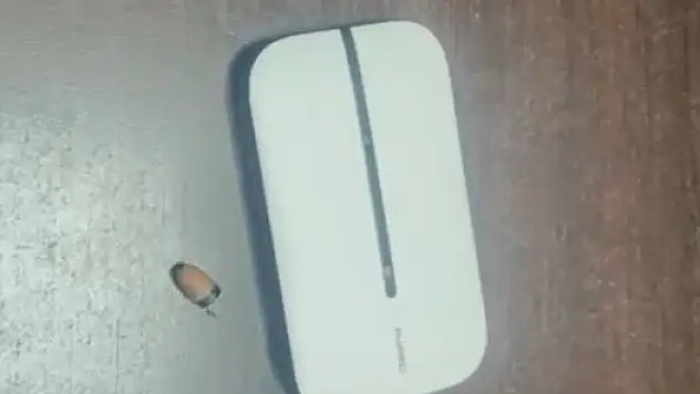 Ehliyet sınavına kopya düzeneğiyle girmeye çalışan 2 kişi yakalandı