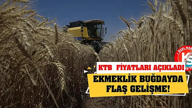 Ekmeklik Buğdayda Flaş Gelişme! KTB Yeni Fiyatları Açıkladı