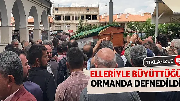 Elleriyle Büyüttüğü Ormanda Defnedildi