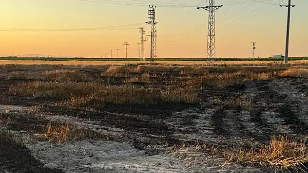 Emekler boşa gitti! Konya'da buğday tarlasında yangın çıktı!