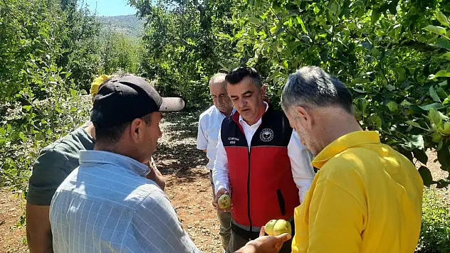 Emekler Doluya Yenik Düştü! Konya'da Üretici Mağdur