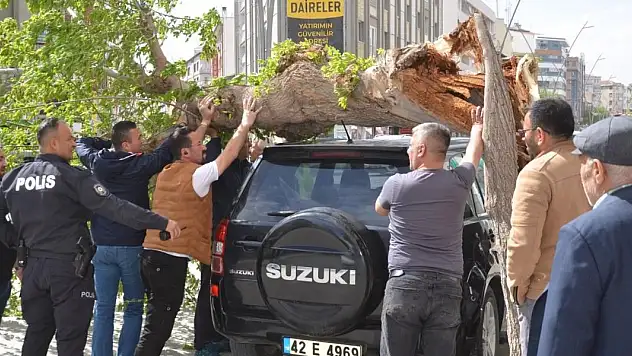 Ereğli fırtınadan nasibini aldı!